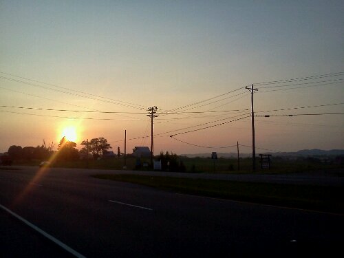 IMG_20120709_065006.jpg image