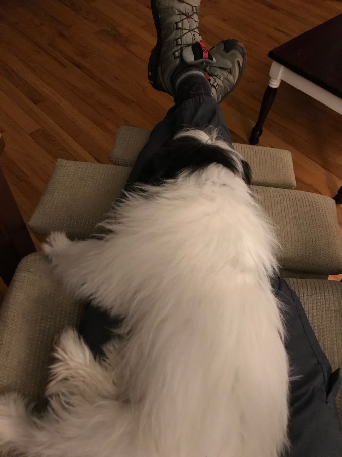 3B3ABB8A-EE52-494C-8263-8A0B5D7BFA73