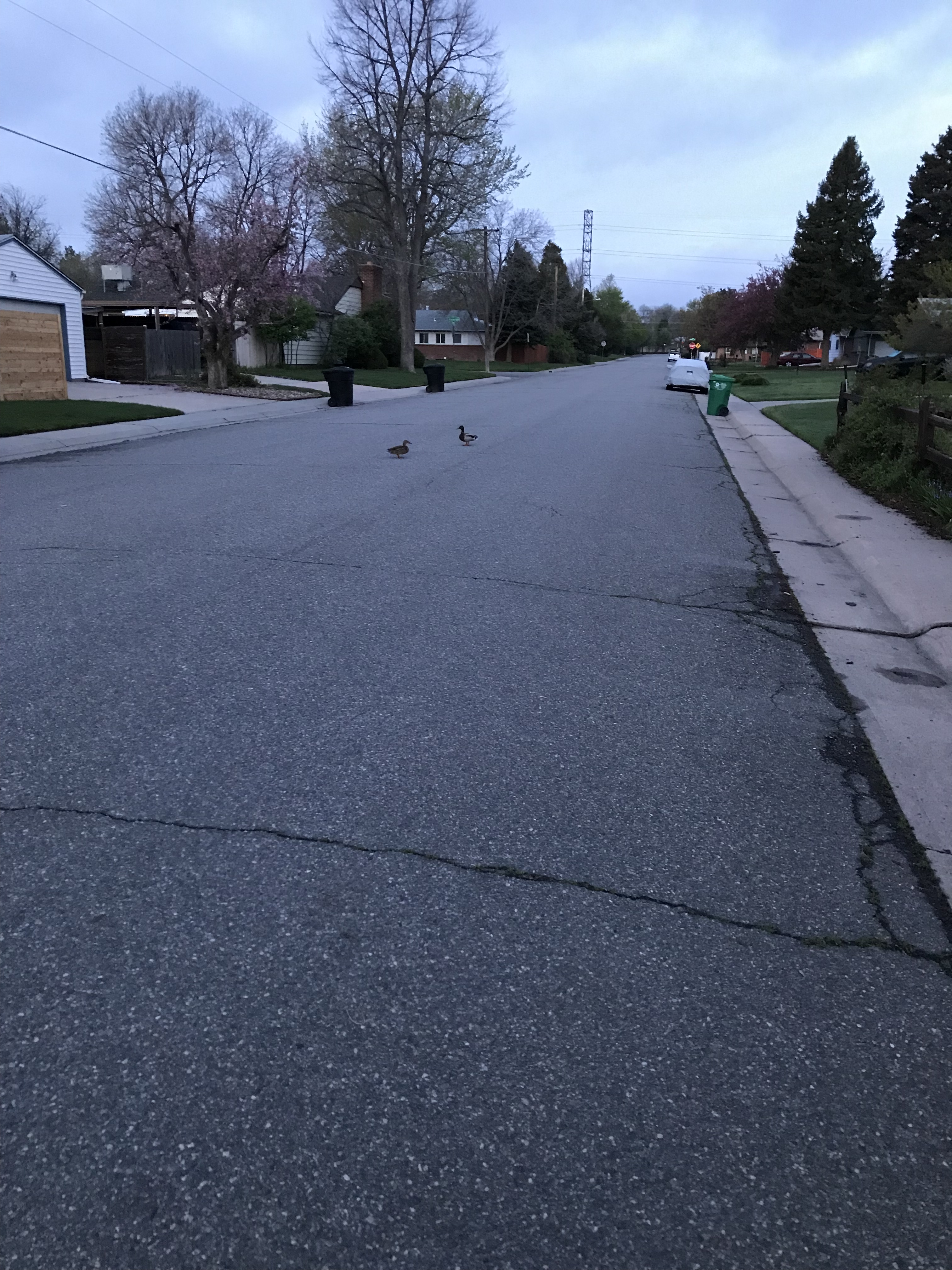 C594F47B-3764-4D2E-B337-EEC44BC52ACC